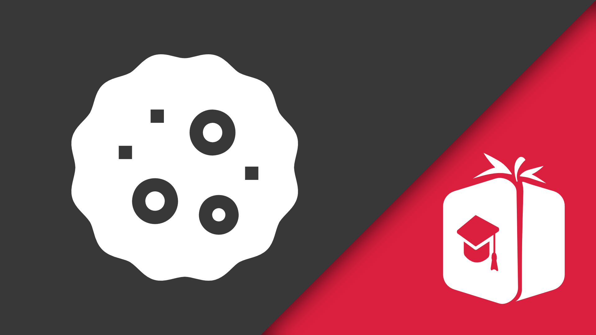 Workflow Krebsregister-Modul